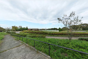 松木公園