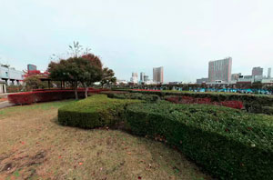 芝浦中央公園