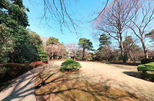 殿ヶ谷戸庭園 大芝生