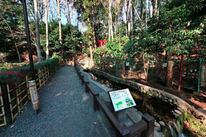 真姿の池湧水群