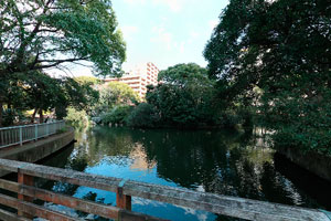 仙台堀川公園