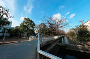 仙台堀川公園暗渠の終点