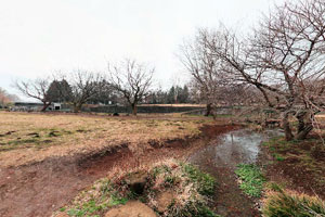 野川公園わき水広場