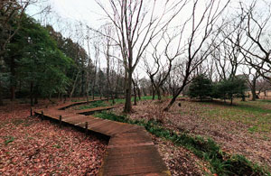 自然観察園