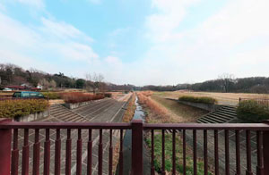 武蔵野公園小金井新橋