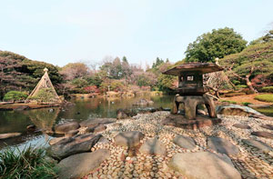 旧古河庭園心字池