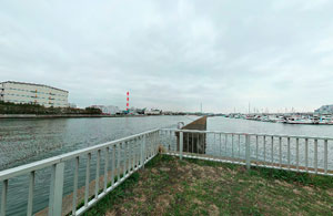 夢の島公園北端