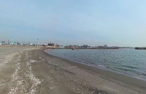東扇島東公園かわさきの浜