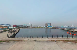 東扇島東公園みさき広場