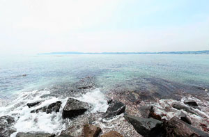 猿島三本松