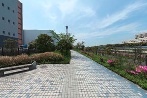 東扇島島内緑道