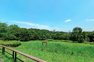 野津田公園展望広場直下