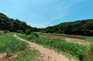 野津田公園上の原広場