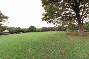 貝取北公園