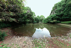 瓜生緑地北の池