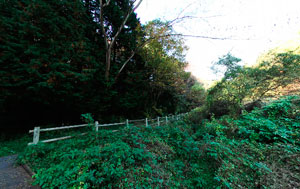 六道山公園 赤坂谷戸
