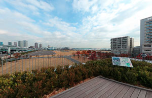 東京臨海広域防災公園屋上1