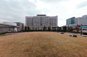 東京臨海広域防災公園屋上2