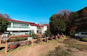 薬師池公園芝生広場
