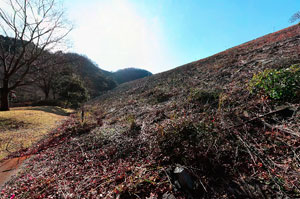 奥野ダム堤体下