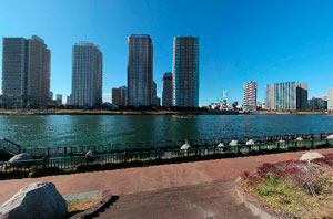 越中島公園堤防で