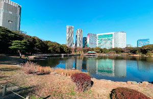 浜離宮潮入の池