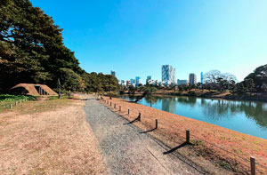 浜離宮横堀