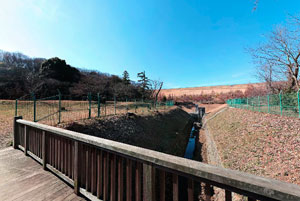 狭山湖洪水吐け
