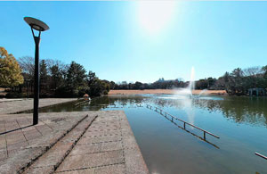 多摩中央公園大池