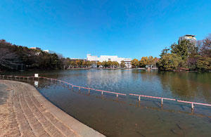 多摩中央公園芝生広場