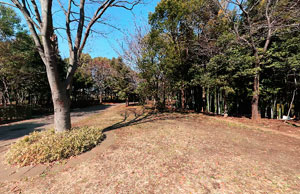 多摩中央公園生垣見本園
