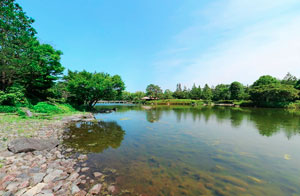 昭和記念公園日本庭園