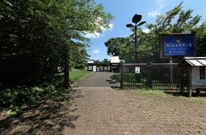 昭和記念公園玉川上水口