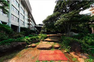 旧岩崎邸庭園和館