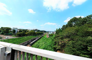 電車見橋