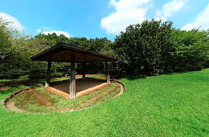 馬引沢南公園