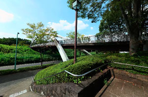 弓の橋