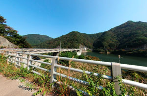 東山ダム左岸