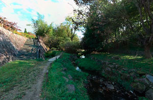 上谷戸親水公園 流れ