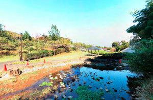 若葉台公園 池