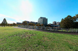若葉台公園中央橋