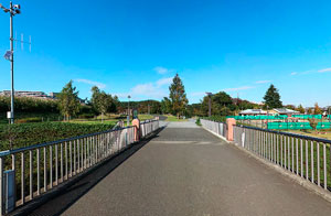 若葉台公園南橋