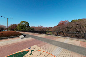昭和記念公園ふれあい橋