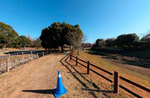 昭記念公園立川分水