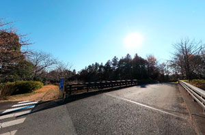 昭和記念公園やまぶき橋