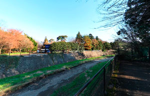 昭和記念公園玉川上水口対岸