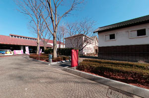 郷土の森博物館メインストリート