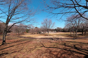 郷土の森博物館多摩川沿い