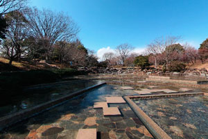 郷土の森博物館水遊びの池