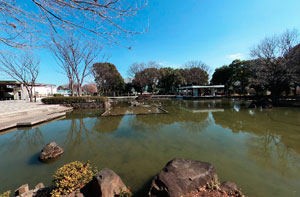郷土の森公園修景池